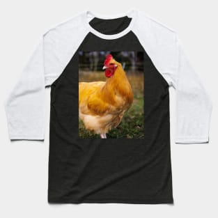 Photo of Proud Colorful Rooster Baseball T-Shirt